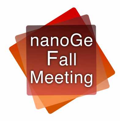 nanoGe logo