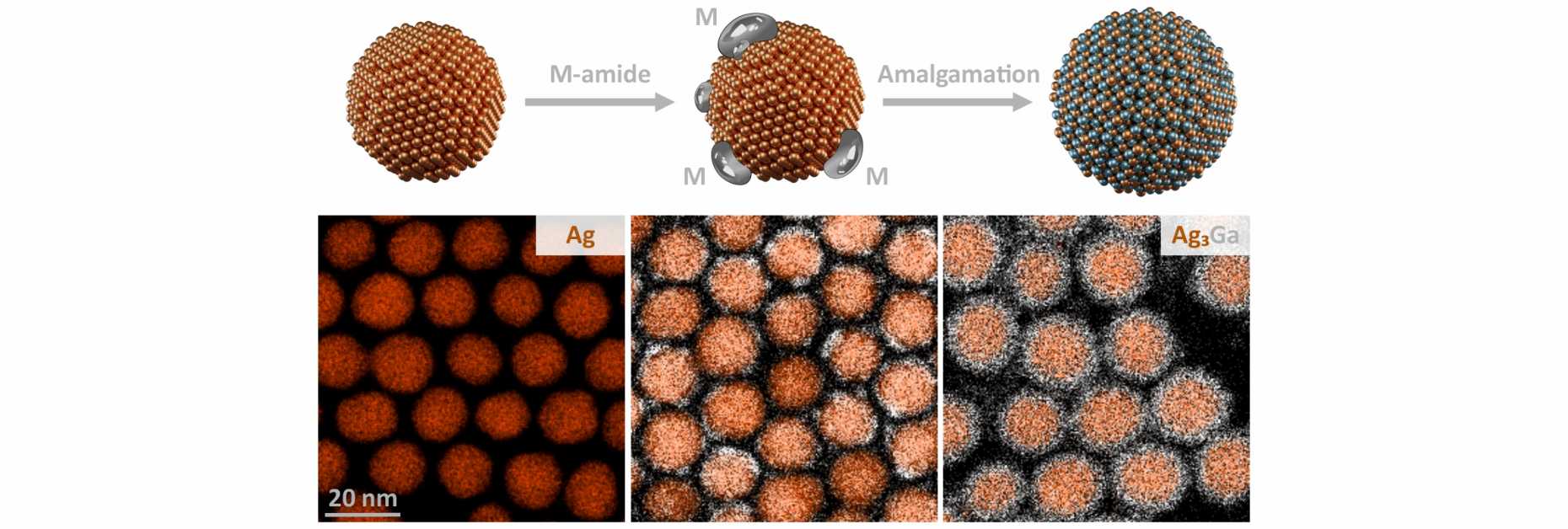 Amalgamation-mechanism