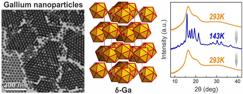 Monodisperse Colloidal Gallium Nanoparticles: Synthesis, Low Temperature Crystallization, Surface Plasmon Resonance and Li-Ion Storage